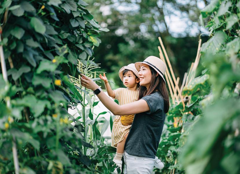 Naturally Sustainable Living